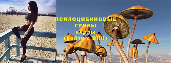 мескалин Бородино